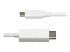 6.6 Ft. Usb C To Displayport Cable Adapter Dp To Usbc Convert - Framsidan