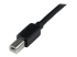 StarTech.com 20m / 65 ft Active USB 2.0 A to B Cable - Närbild